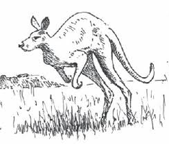 http://www.how-to-draw-and-paint.com/how-to-draw-animals.html