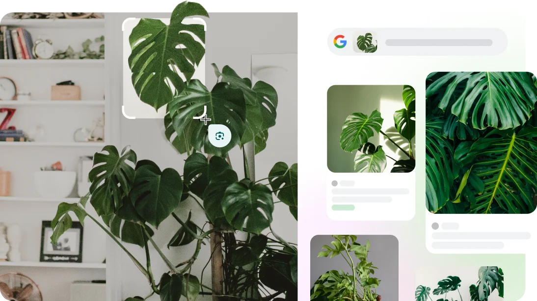 Lentille Google permet d'identifier une valise sur une page Web, en plus d'une race de chien et d'une plante sur l'appli Appareil photo.