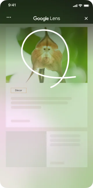 Sur un site de décoration intérieure affichant l'image d'une fleur particulière, un utilisateur d'iPhone ouvre les outils de la page et sélectionne « Rechercher sur l'écran ».